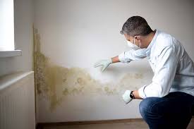 Biohazard Mold Removal in Winchester, IL